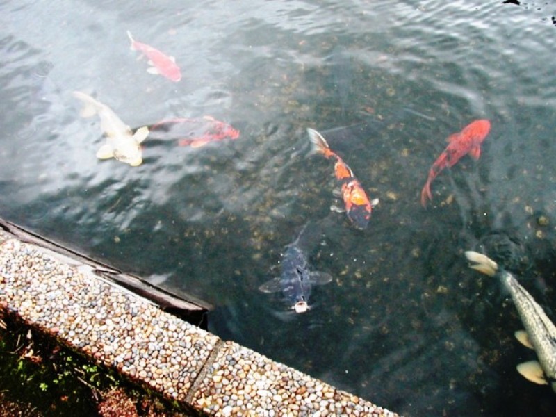 ファイル 13-1.jpg