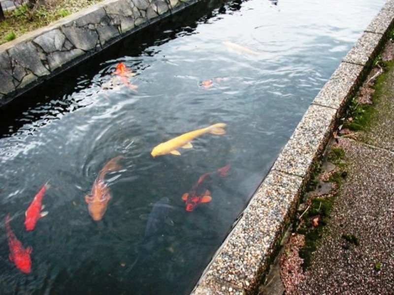 ファイル 13-2.jpg