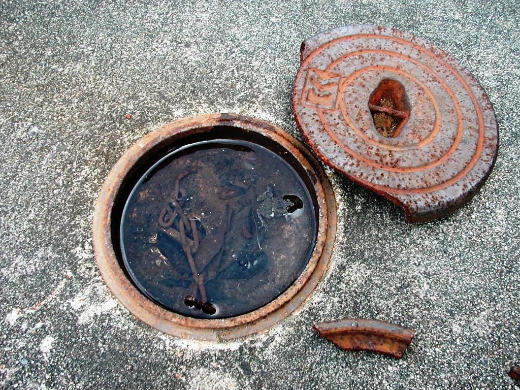 ファイル 17-1.jpg