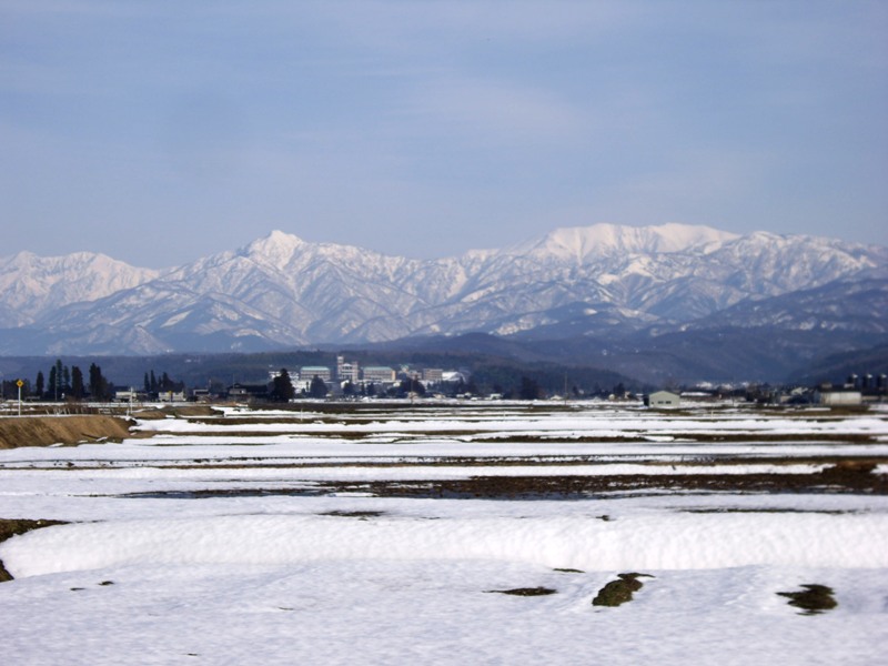 ファイル 19-1.jpg