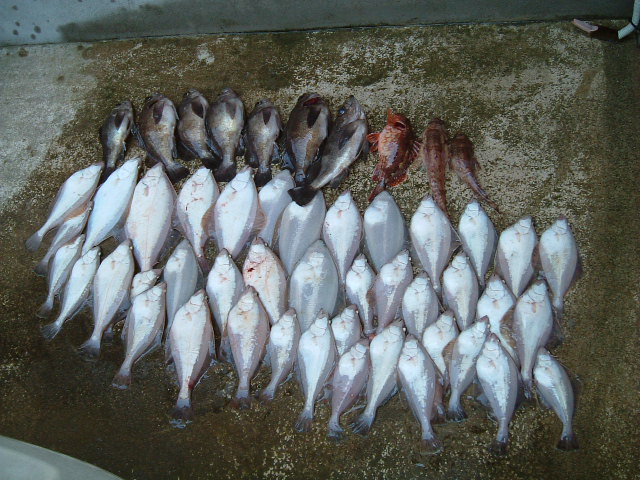 ファイル 28-1.jpg