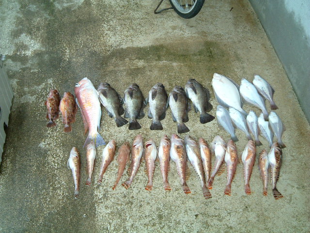 ファイル 28-2.jpg