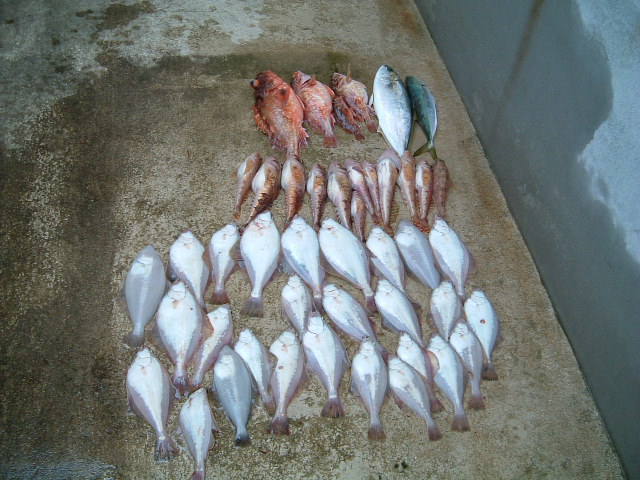 ファイル 29-1.jpg