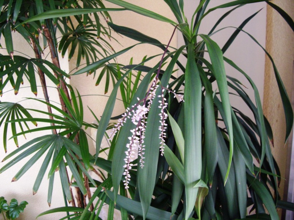 ファイル 30-1.jpg