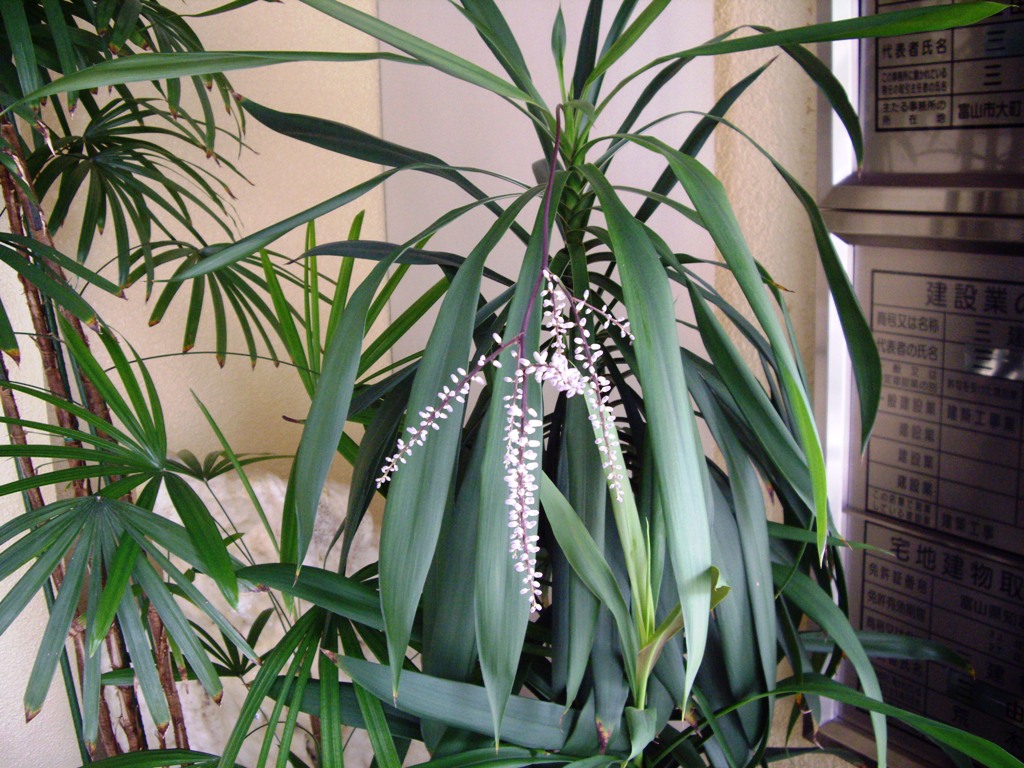 ファイル 30-2.jpg