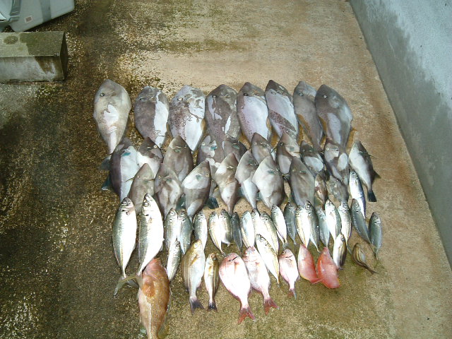 ファイル 39-1.jpg