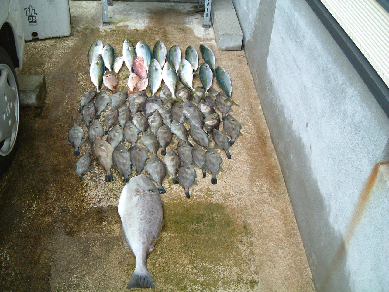 ファイル 42-1.jpg