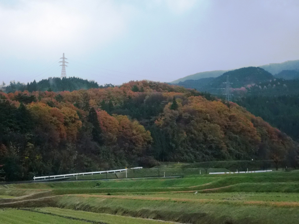 ファイル 43-1.jpg