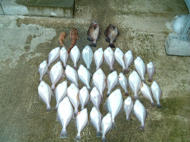 ファイル 56-1.jpg