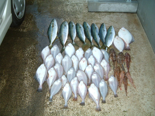 ファイル 57-1.jpg