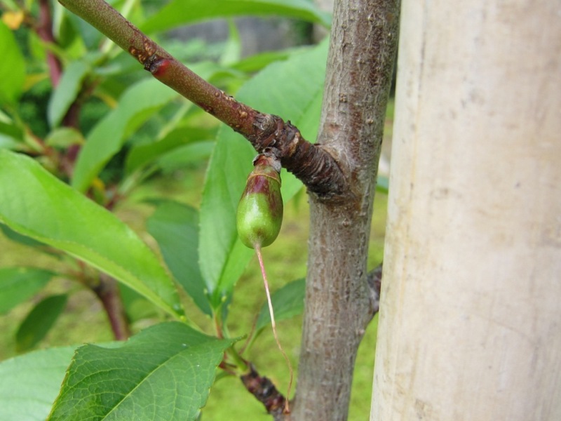 ファイル 59-2.jpg