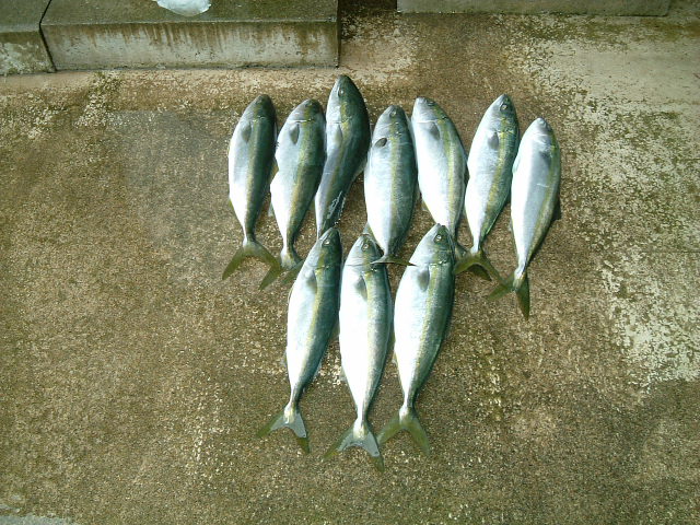 ファイル 61-1.jpg